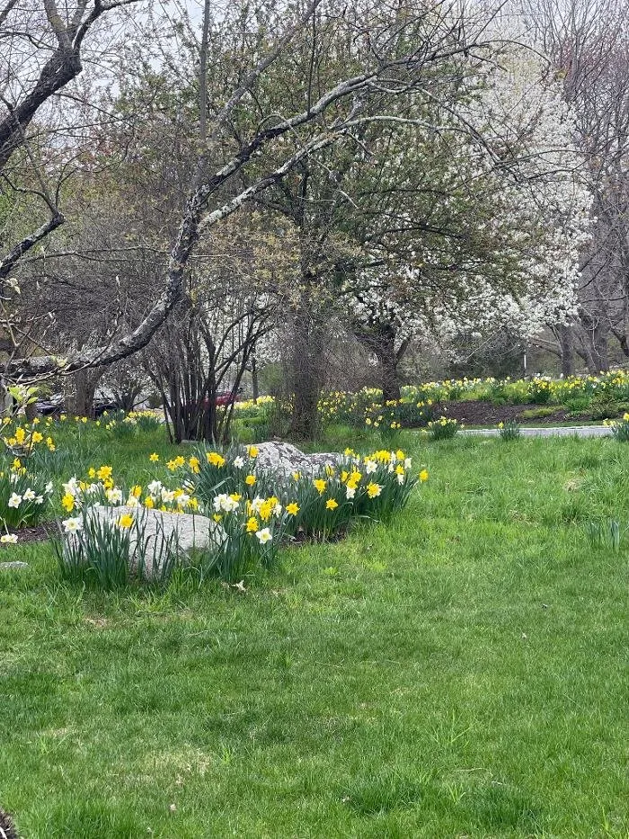 Affordable landscaping services experts serving Andover, MA - Samantha's Gardens