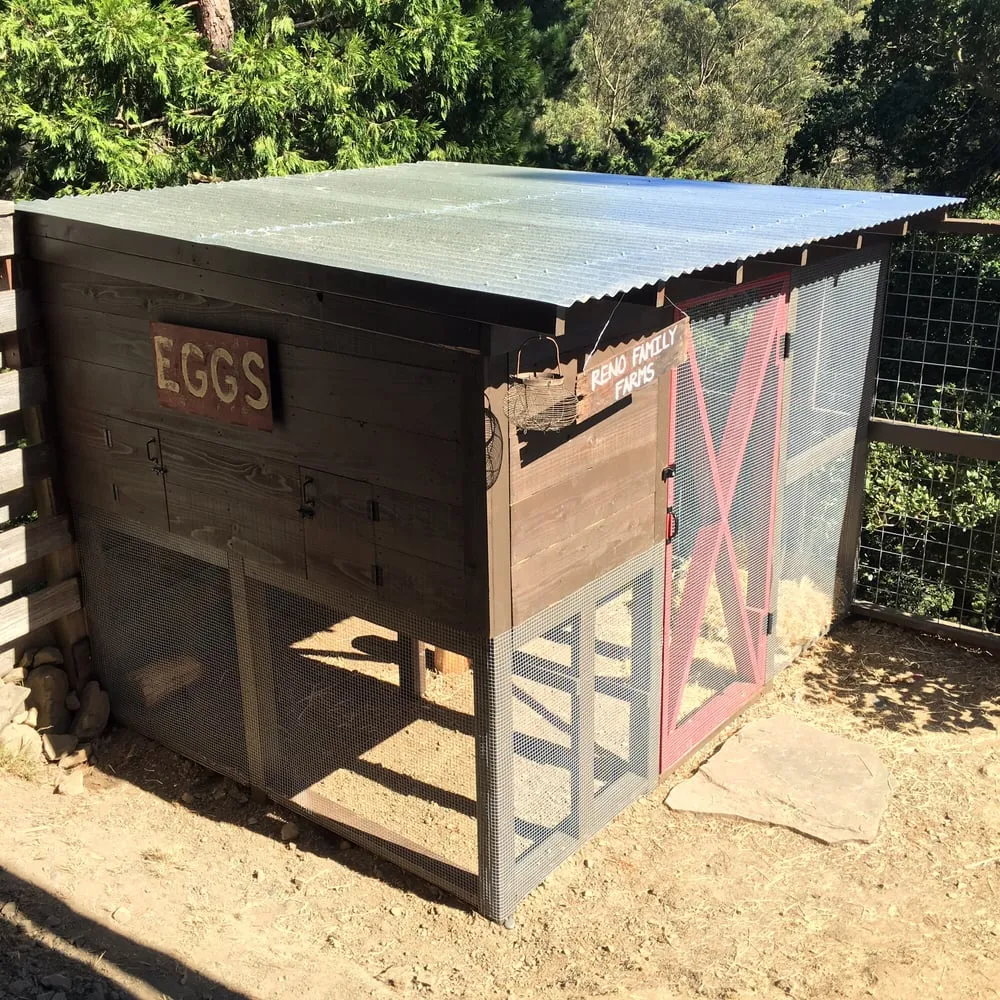 Custom yard cleanup service in Richmond, CA - Samayoa Landscaping Berkeley