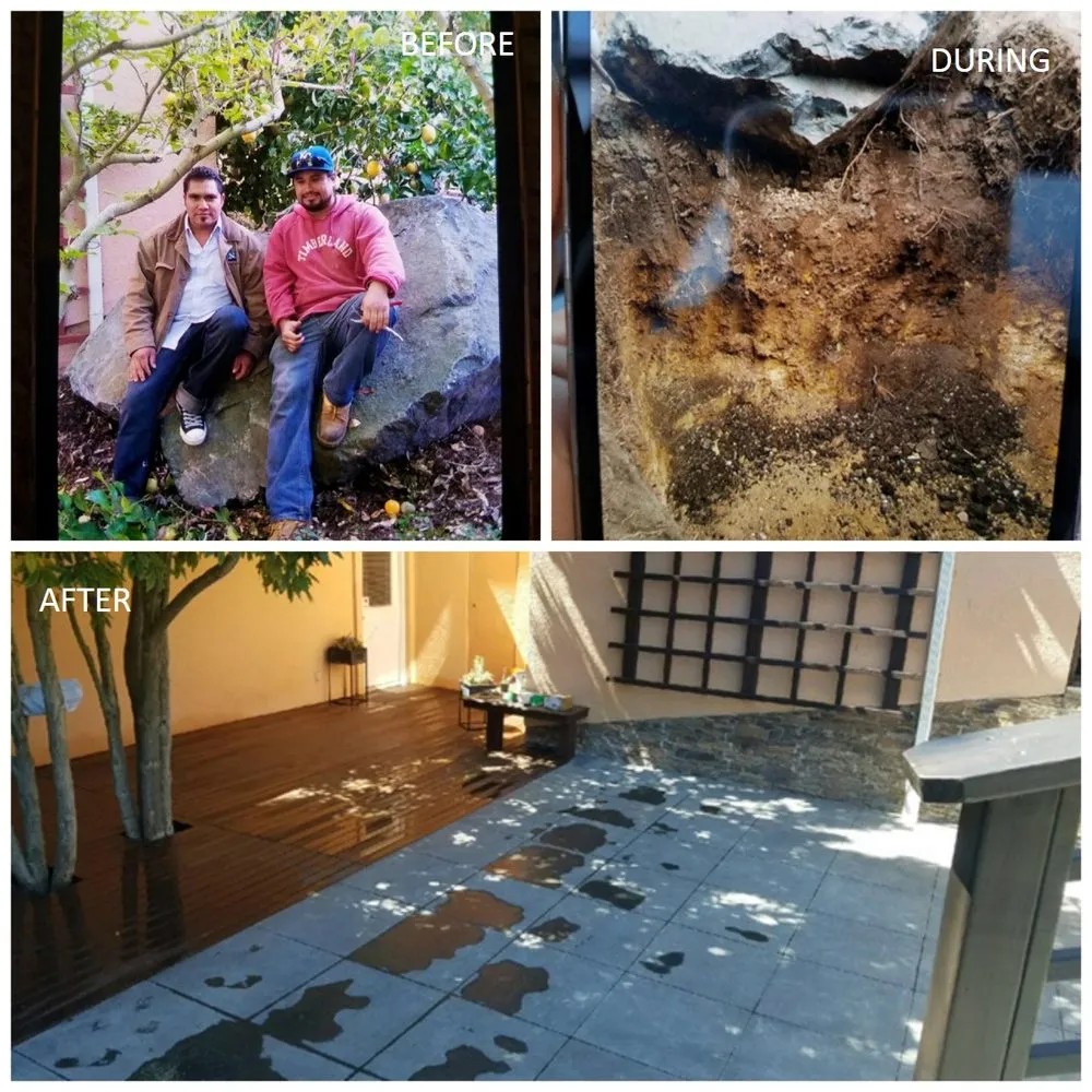 Expert lawn care service in Richmond, CA - Samayoa Landscaping Berkeley