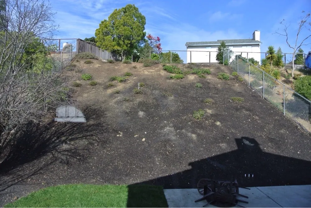 Expert landscape installation experts serving Richmond, CA - Samayoa Landscaping Berkeley