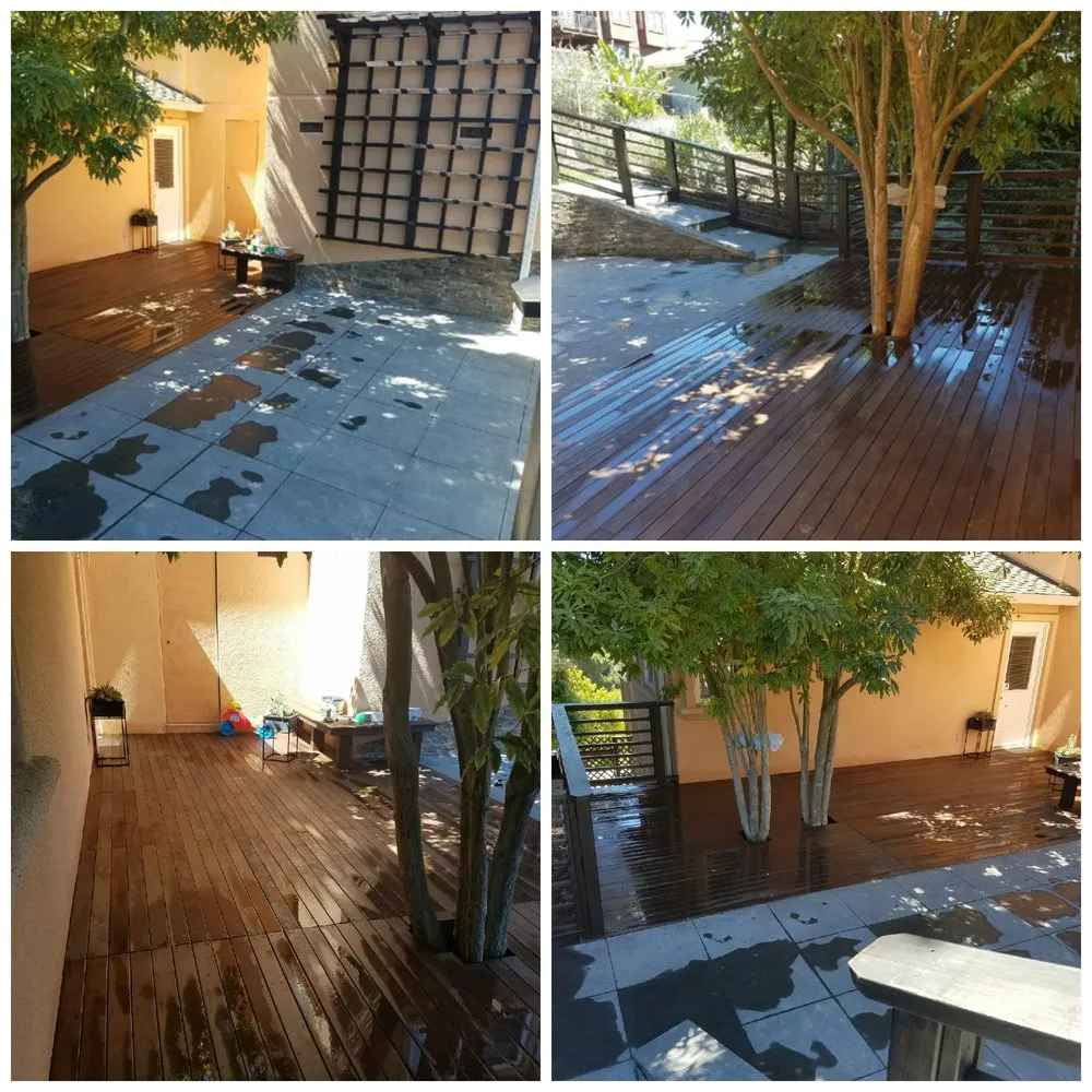 Professional landscaping services in Richmond, CA - Samayoa Landscaping Berkeley