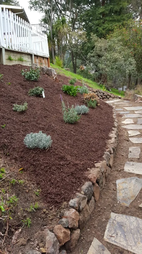 Local landscape installation for beautiful yards across Richmond, CA - Samayoa Landscaping Berkeley