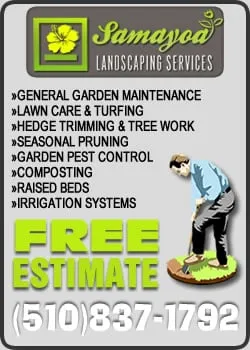 Reliable lawn mowing service experts serving Richmond, CA - Samayoa Landscaping Berkeley