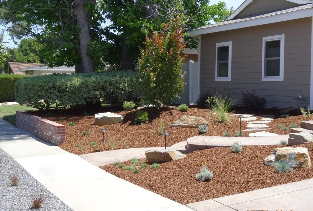 Affordable yard cleanup service in Oakley, CA - Samber Landscape And Tree Care