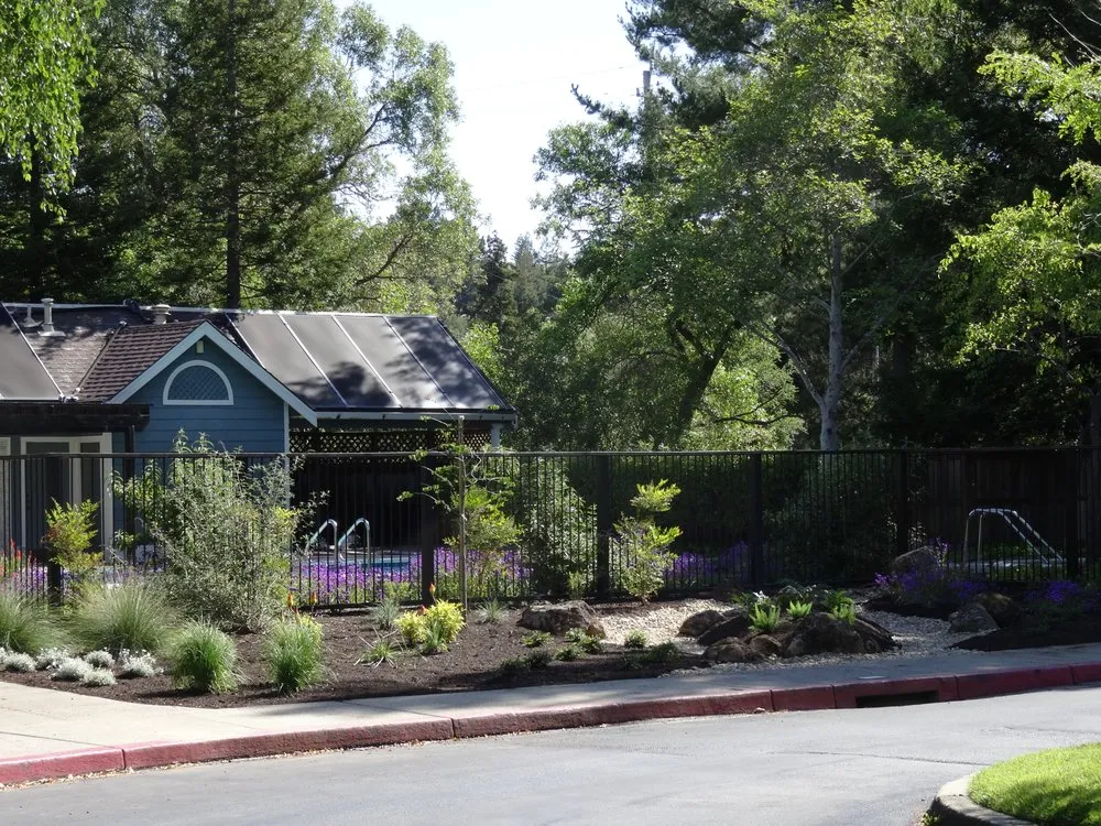 Reliable yard maintenance for beautiful yards across Oakley, CA - Samber Landscape And Tree Care