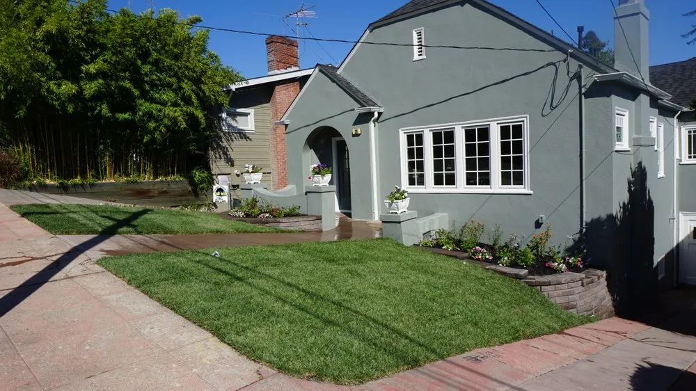 Local yard maintenance in Oakley, CA - Samber Landscape And Tree Care