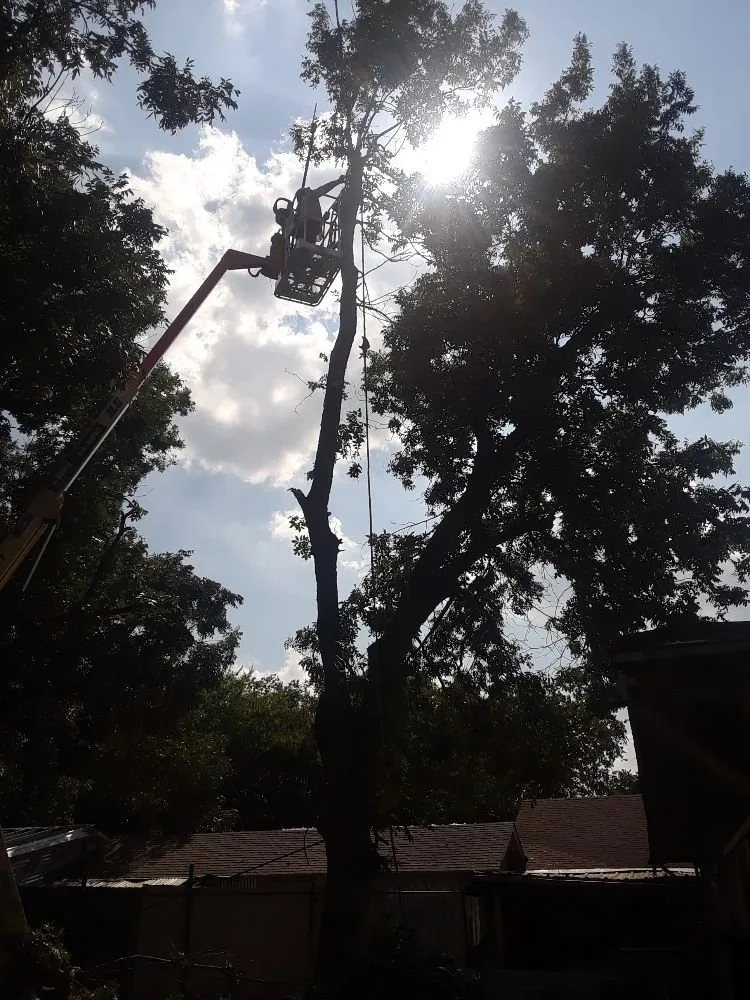 Affordable landscape installation experts serving Haltom, TX - Sambrano's Lawn Service