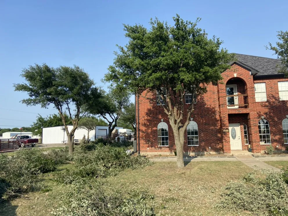 Local yard cleanup service in Haltom, TX by Sambrano's Lawn Service
