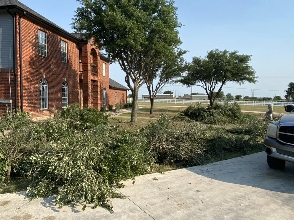 Trusted yard cleanup service in Haltom, TX - Sambrano's Lawn Service
