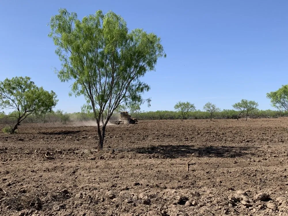 Trusted landscape design in Bulverde, TX - Samco Land Clearing Solutions