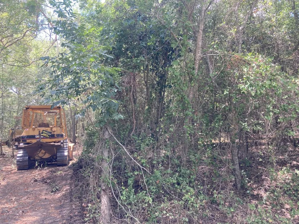 Reliable landscape installation near you in Bulverde, TX by Samco Land Clearing Solutions