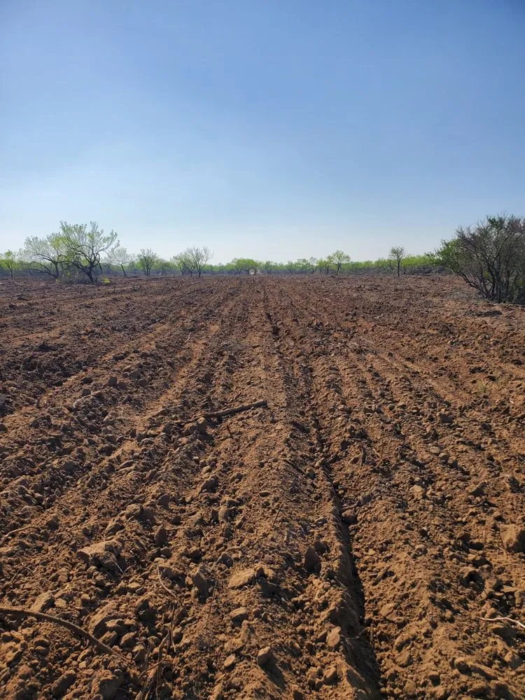 Custom lawn care service in Bulverde, TX by Samco Land Clearing Solutions