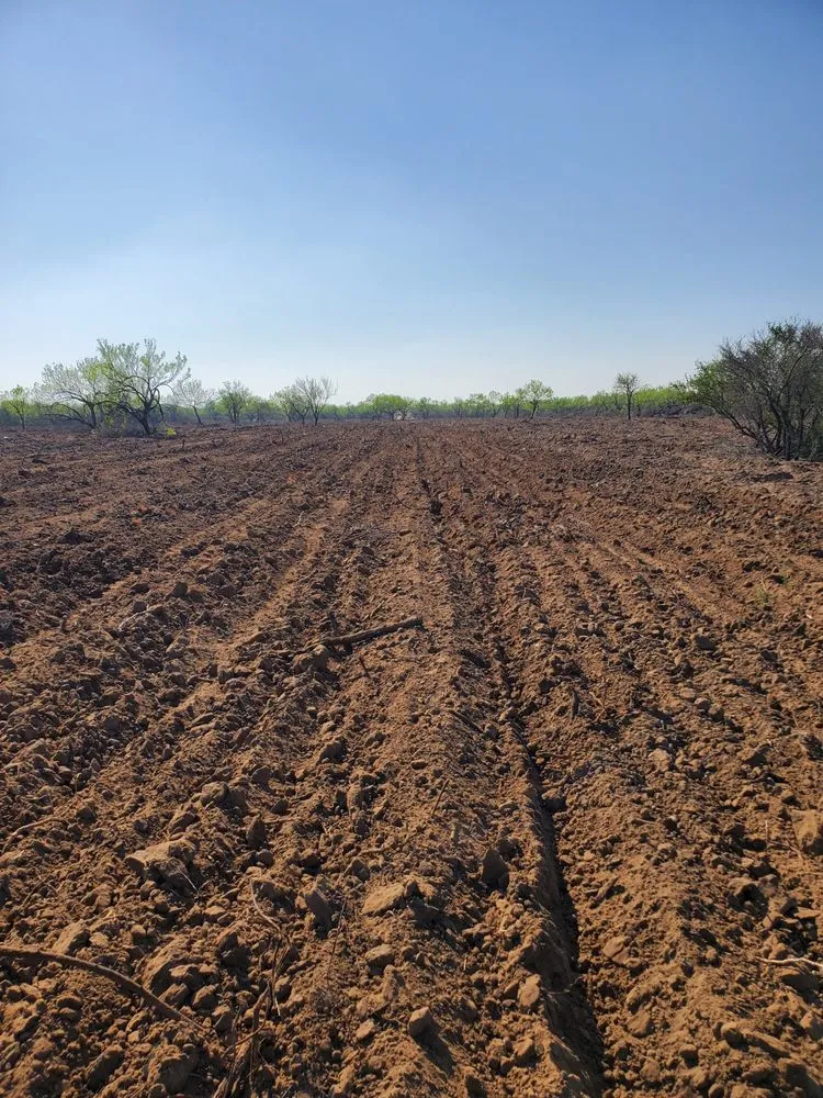 Reliable landscape installation in Bulverde, TX - Samco Land Clearing Solutions