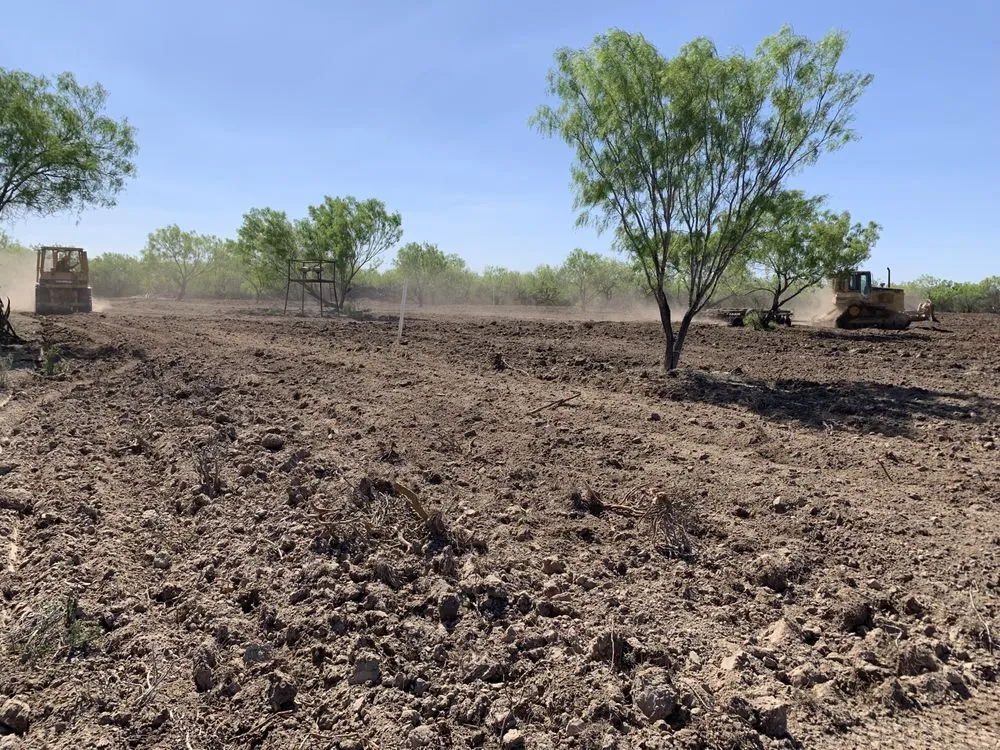Custom yard cleanup service with custom design in Bulverde, TX by Samco Land Clearing Solutions