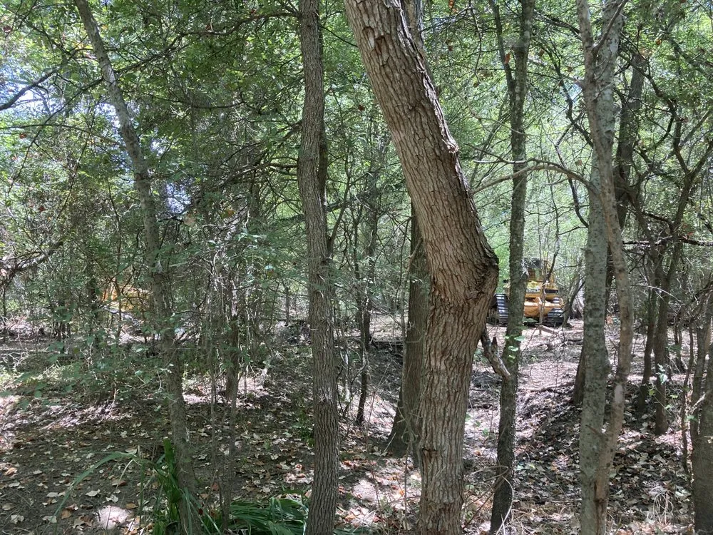 Reliable landscaping services for beautiful yards across Bulverde, TX - Samco Land Clearing Solutions