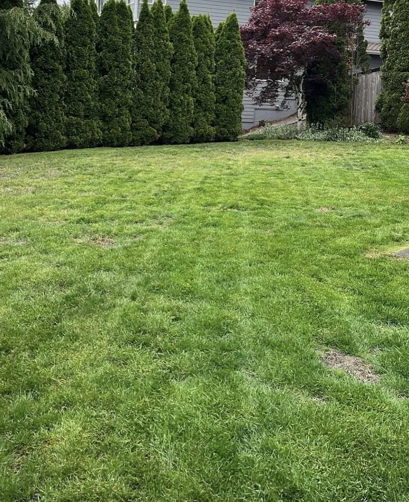 Trusted lawn mowing service in Covington, WA - Same Day Lawn Service