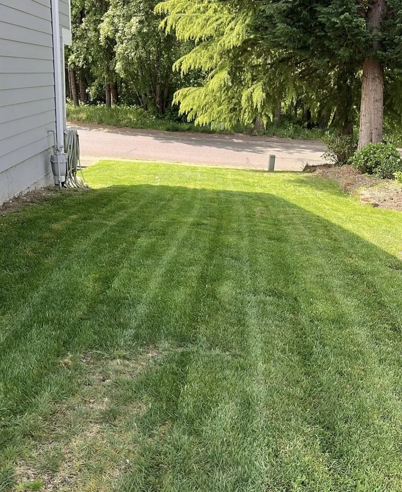 Top-rated landscape installation with custom design in Covington, WA by Same Day Lawn Service