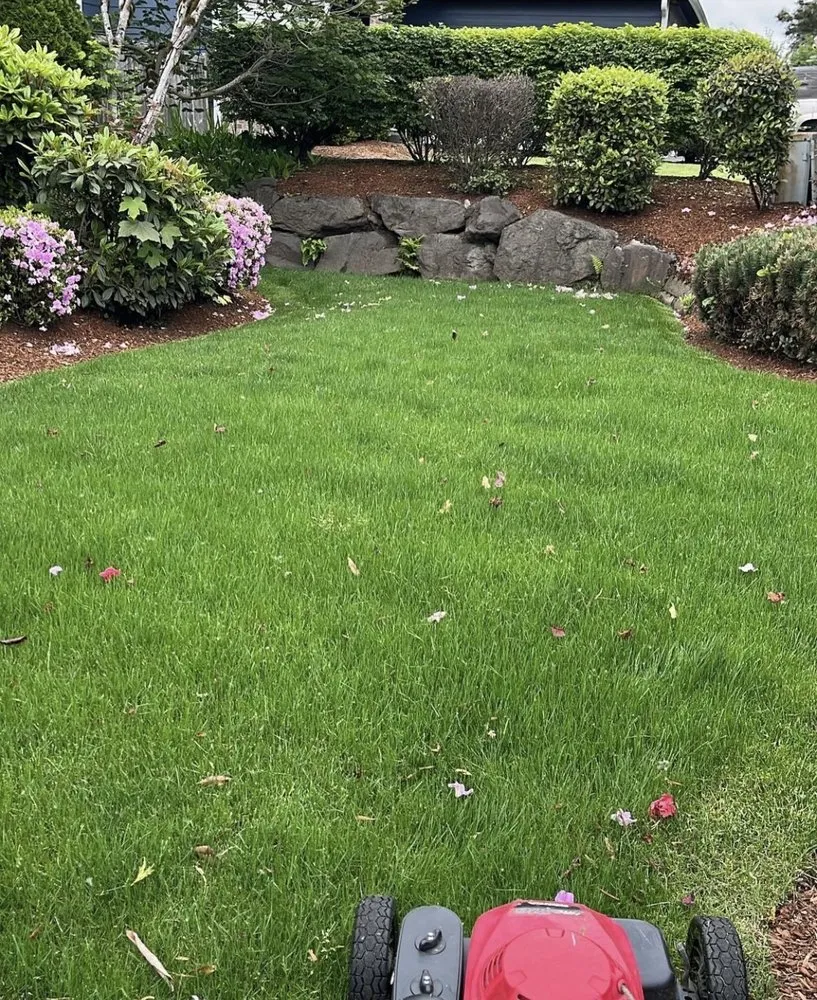 Professional residential landscaping experts serving Covington, WA - Same Day Lawn Service