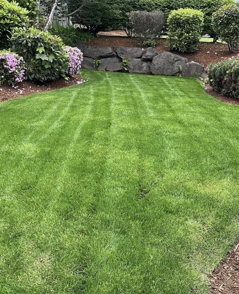 Top-rated garden landscaping for beautiful yards across Covington, WA - Same Day Lawn Service