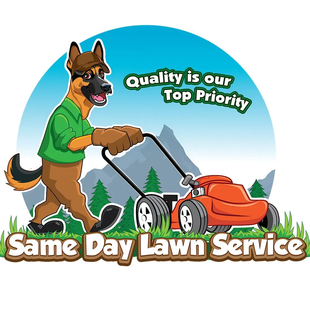 Reliable lawn care service experts serving Covington, WA - Same Day Lawn Service