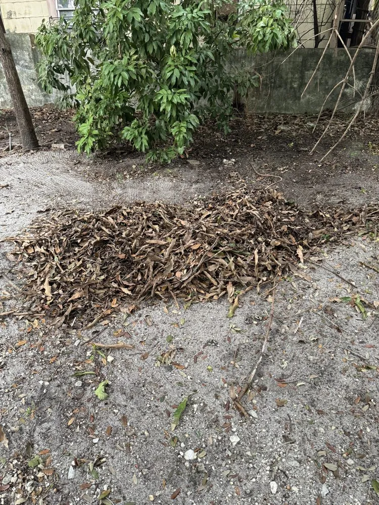 Top-rated yard maintenance in Miami, FL - Same Day Lawncare