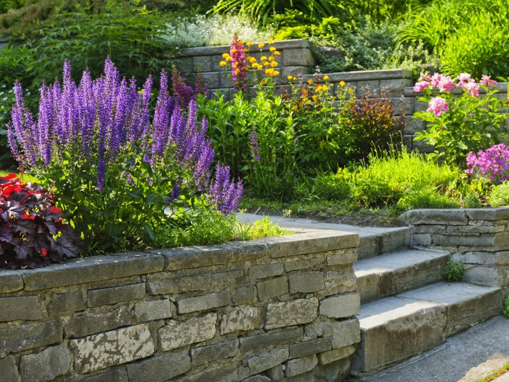 Trusted yard maintenance near you in Winston-Salem, NC by Same Day Pros