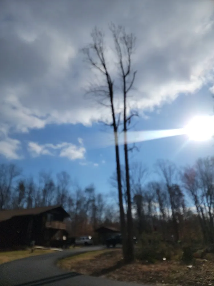 Professional garden landscaping in Orange, VA - Same Day Tree and Landscape Services