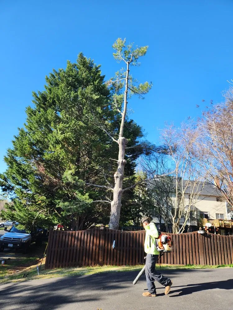 Trusted yard maintenance in Orange, VA - Same Day Tree and Landscape Services