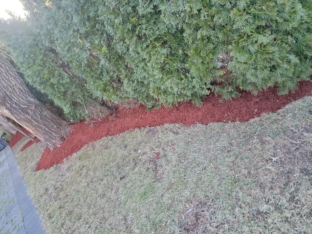 Custom outdoor landscaping in Orange, VA by Same Day Tree and Landscape Services