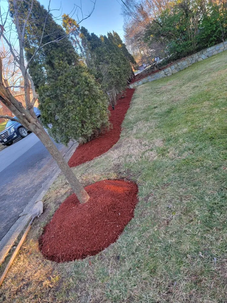 Affordable landscape installation for beautiful yards in Orange, VA by Same Day Tree and Landscape Services