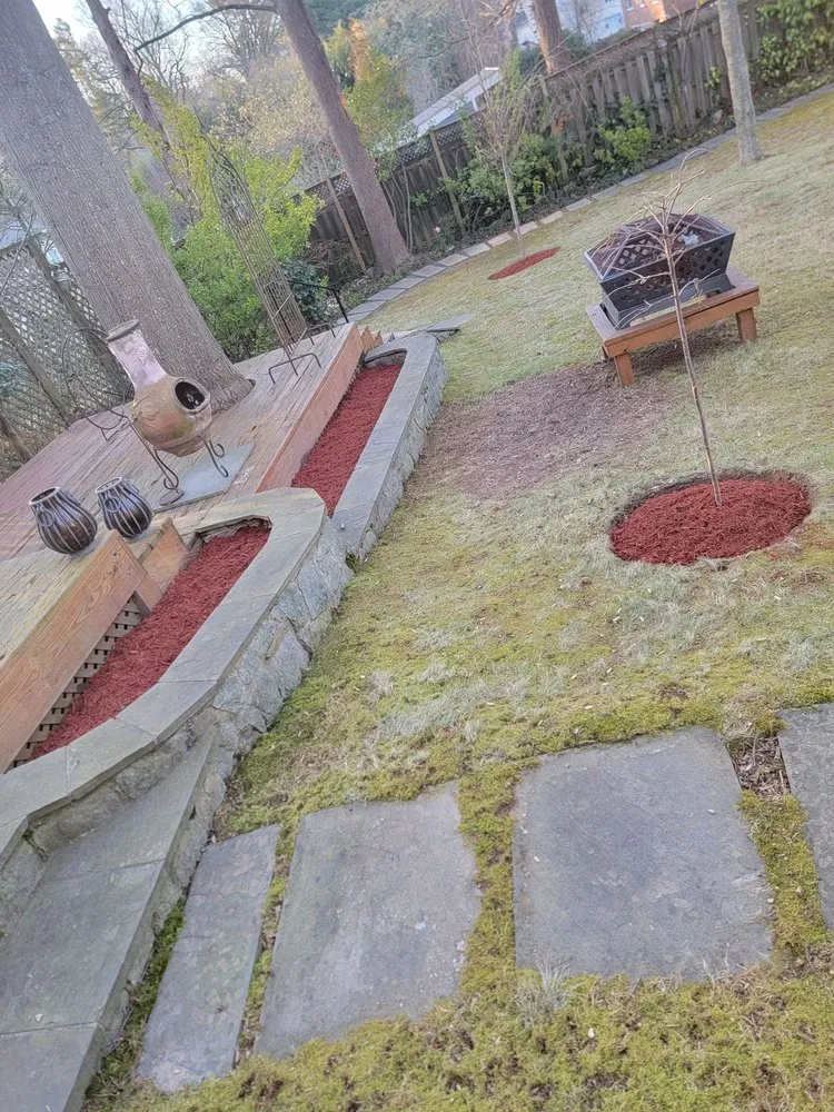 Expert yard cleanup service in Orange, VA - Same Day Tree and Landscape Services