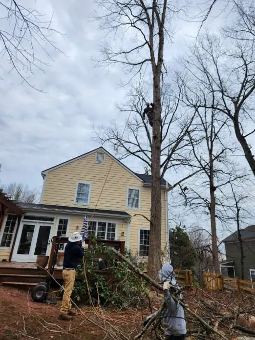 Local yard maintenance near you in Orange, VA by Same Day Tree and Landscape Services