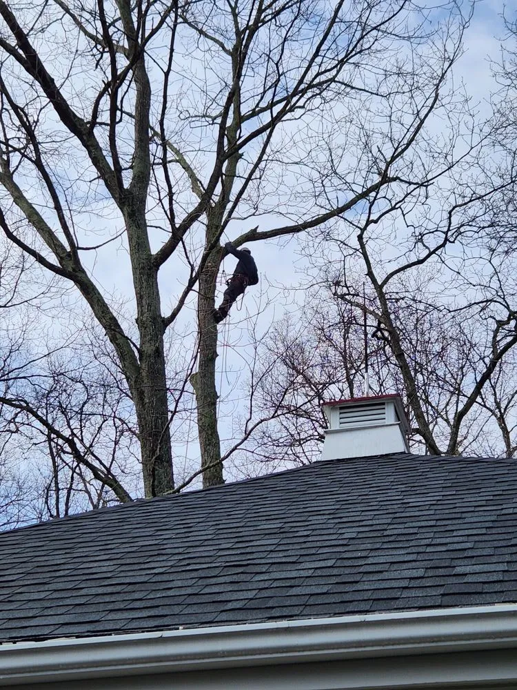 Affordable landscaping services in Orange, VA - Same Day Tree and Landscape Services