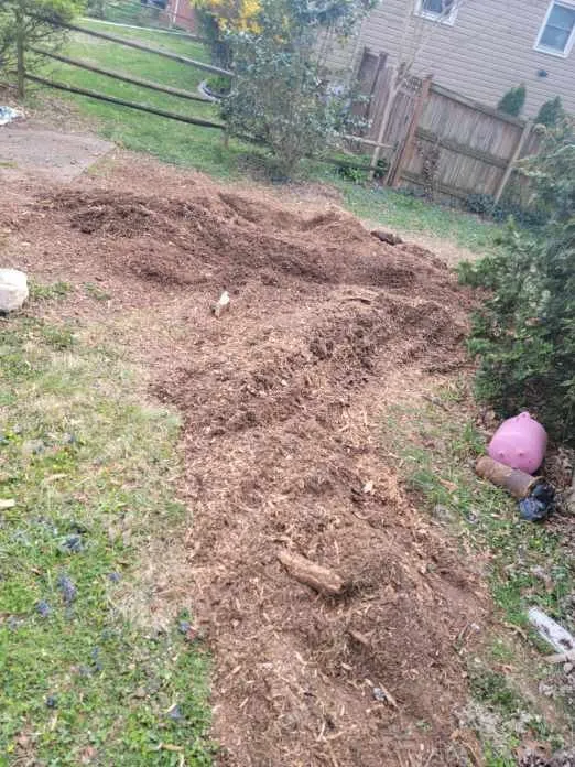 Reliable residential landscaping experts serving Orange, VA - Same Day Tree and Landscape Services