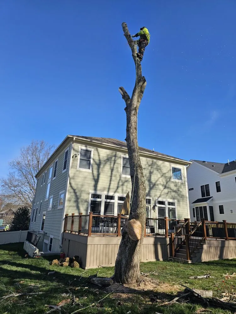 Professional landscaping services in Orange, VA by Same Day Tree and Landscape Services