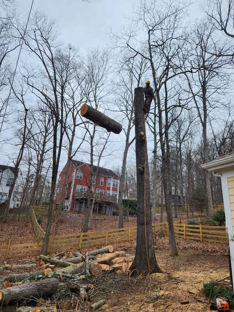 Trusted yard maintenance in Orange, VA by Same Day Tree and Landscape Services