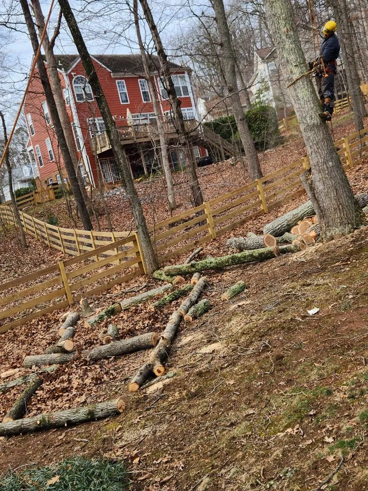 Custom yard maintenance for outdoor upgrades in Orange, VA by Same Day Tree and Landscape Services