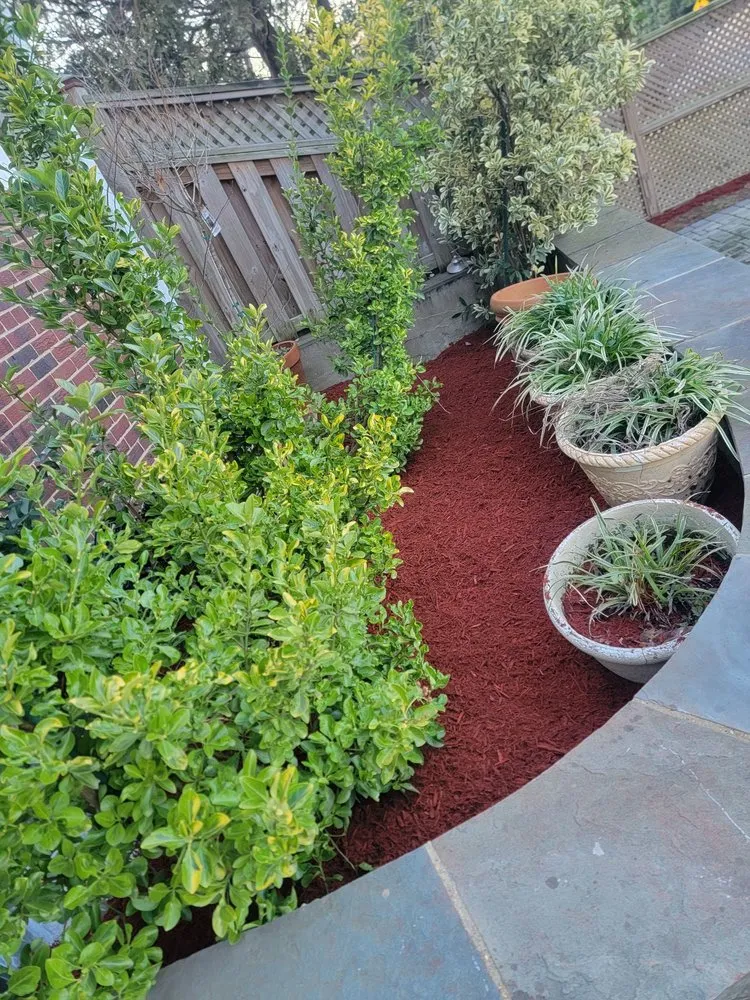 Affordable garden landscaping in Orange, VA by Same Day Tree and Landscape Services
