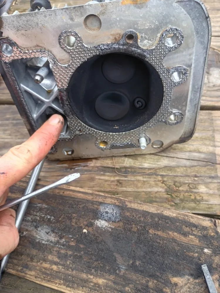 Custom landscape design for year-round maintenance across Long Beach, MS - SameDay Lawn Mower Repair