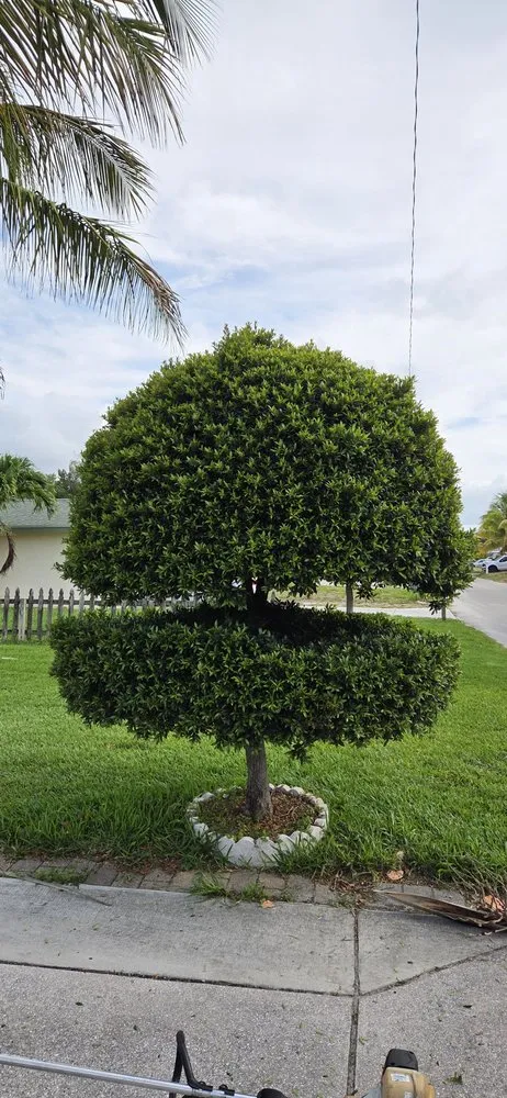 Affordable yard maintenance in Lake Worth, FL - Samex Lawn Care Services