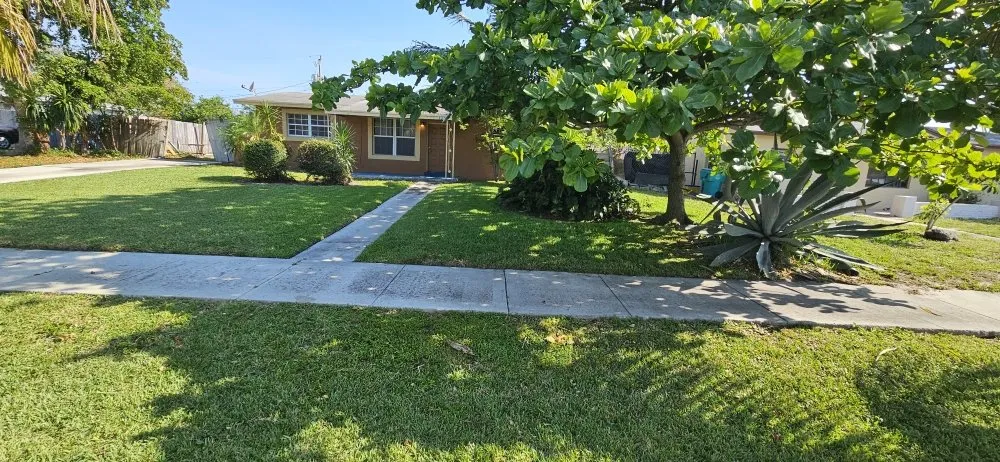 Local lawn care service in Lake Worth, FL by Samex Lawn Care Services