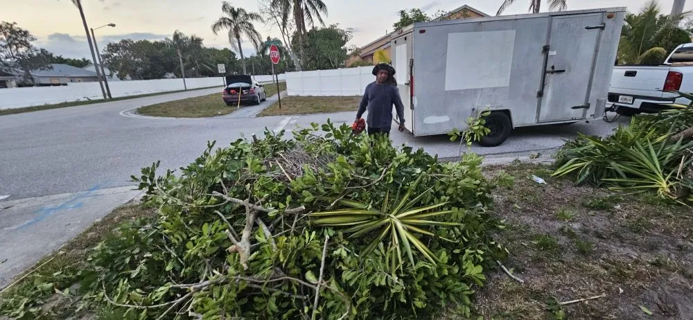 Reliable yard maintenance experts serving Lake Worth, FL - Samex Lawn Care Services