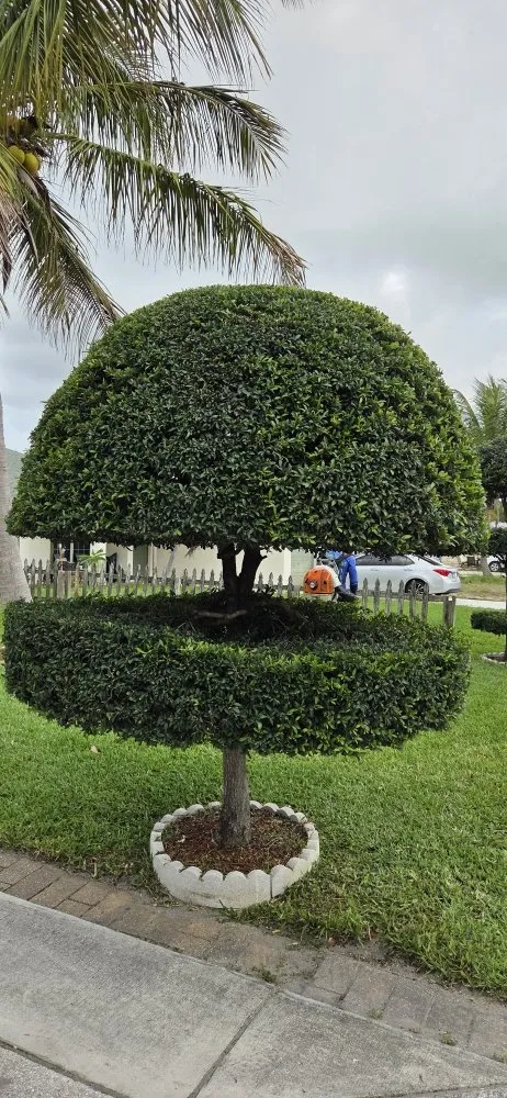 Top-rated garden landscaping for year-round maintenance across Lake Worth, FL - Samex Lawn Care Services