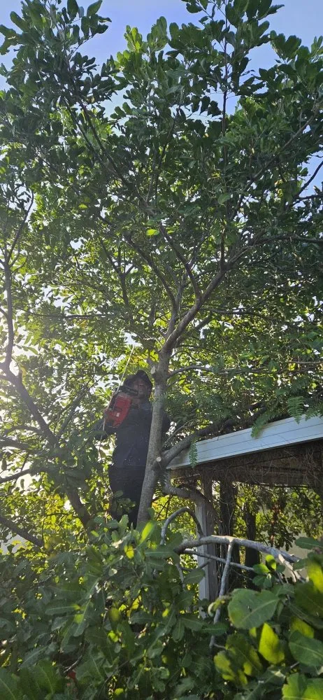 Custom outdoor landscaping experts serving Lake Worth, FL - Samex Lawn Care Services