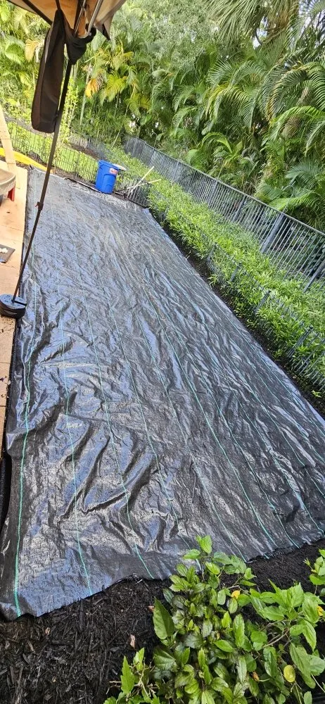 Professional yard maintenance for year-round maintenance in Lake Worth, FL by Samex Lawn Care Services