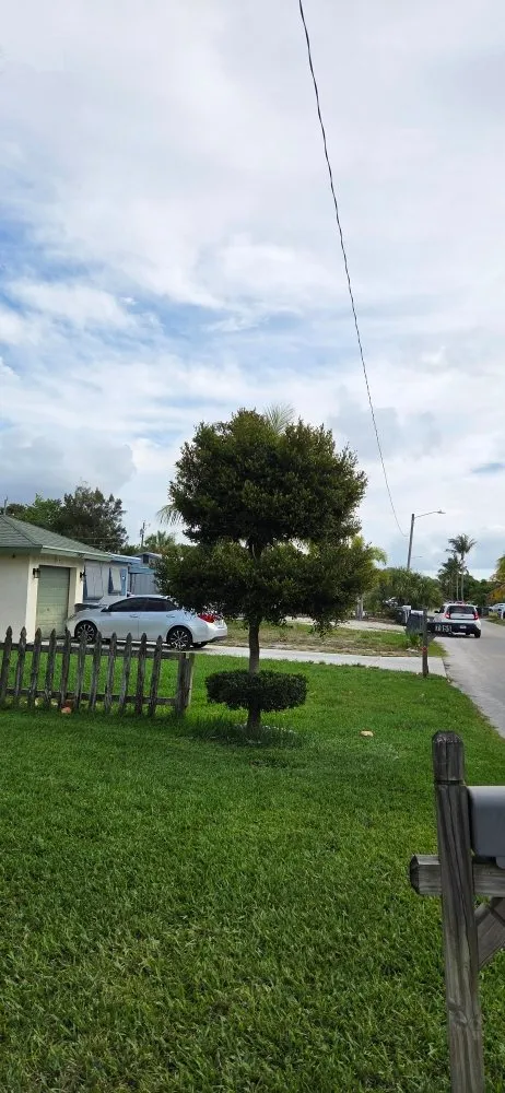 Top-rated lawn care service with custom design across Lake Worth, FL - Samex Lawn Care Services