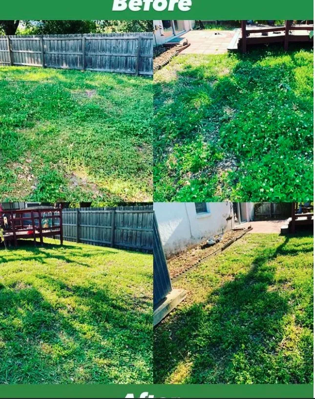 Expert yard cleanup service in Tampa Bay, FL by Samir Baker’s Landscape