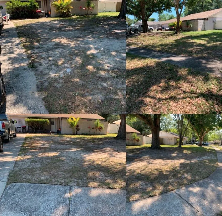 Reliable yard maintenance near you across Tampa Bay, FL - Samir Baker’s Landscape