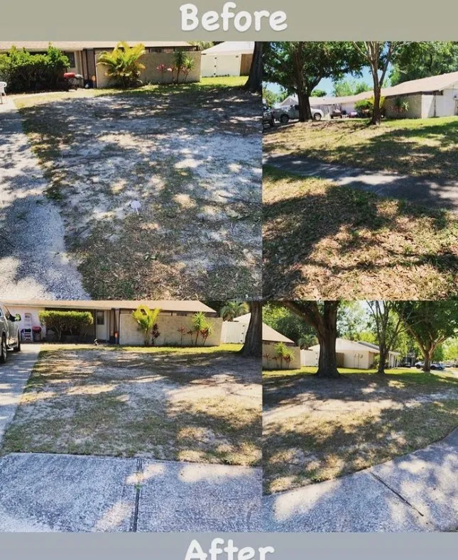 Expert yard cleanup service in Tampa Bay, FL by Samir Baker’s Landscape