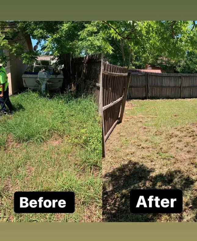 Top-rated residential landscaping for beautiful yards in Tampa Bay, FL by Samir Baker’s Landscape